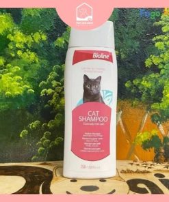 Sữa tắm cho mèo lông ngắn