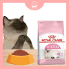 Thức ăn hạt Royal Canin Kitten
