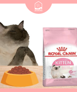 Thức ăn hạt Royal Canin Kitten