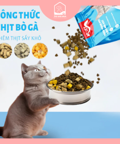 Thức ăn dạng hạt khô Mr Vet