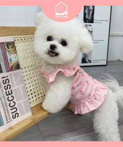 Đầm họa tiết trái đào cho thú cưng