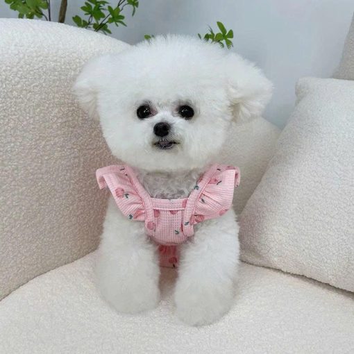 Đầm họa tiết trái đào cho thú cưng - Ảnh 2