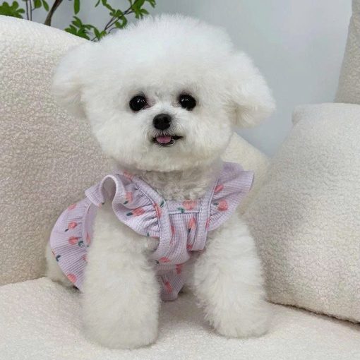 Đầm họa tiết trái đào cho thú cưng - Ảnh 3