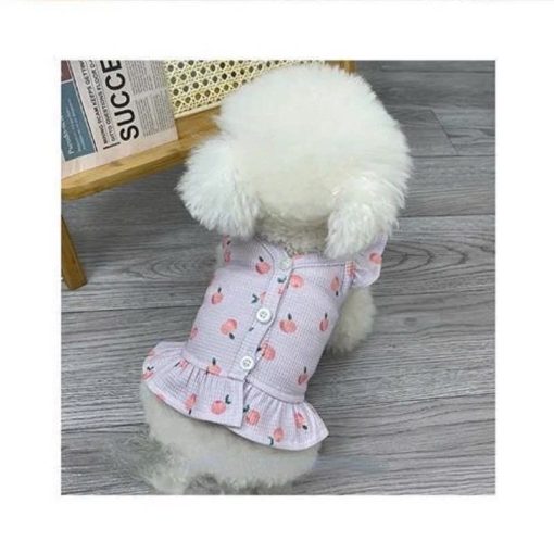 Đầm họa tiết trái đào cho thú cưng - Ảnh 4